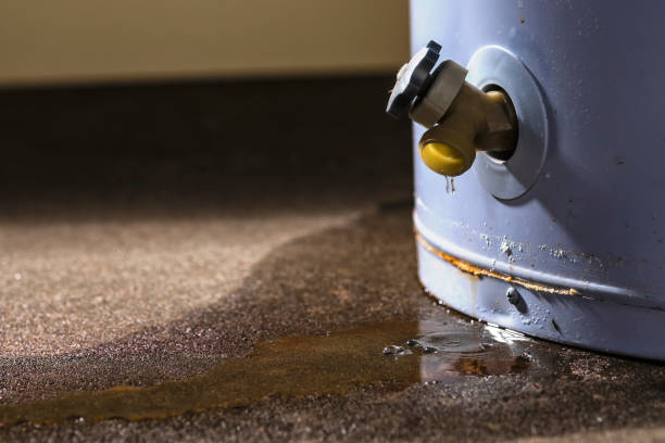 Best Flood restoration services  in Merrill, WI