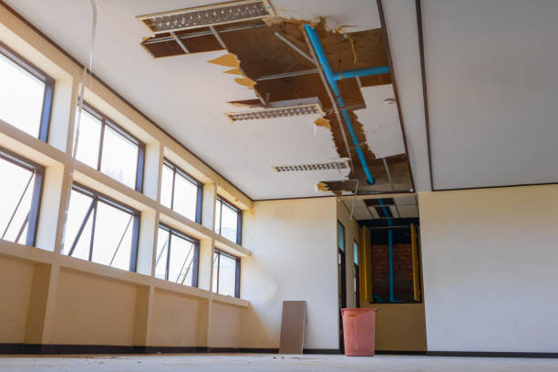 Best Basement water damage restoration  in Merrill, WI