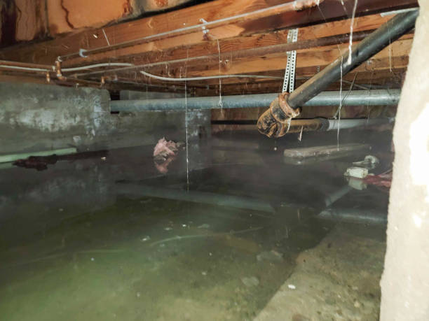  Merrill, WI Water damage restoration Pros