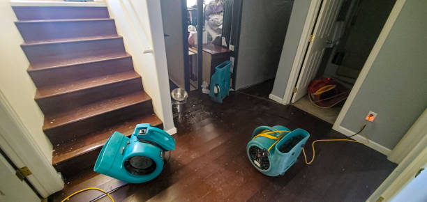 Best Residential water damage restoration  in Merrill, WI