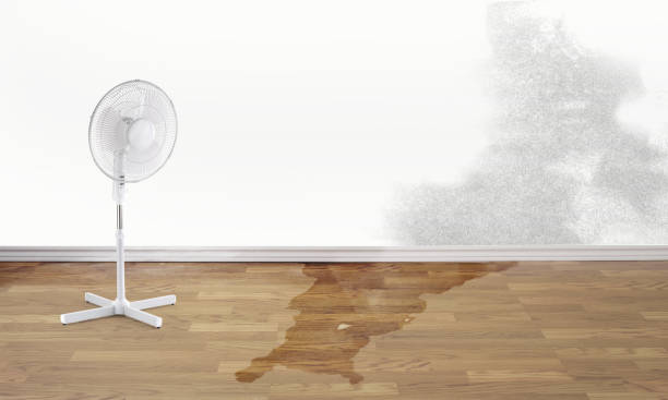 Best Flood damage cleanup  in Merrill, WI