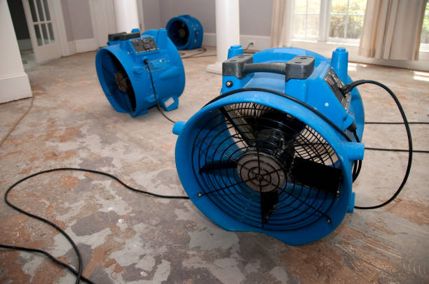 Best 24-hour water damage restoration  in Merrill, WI