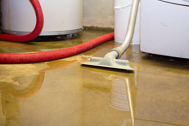 Best Ceiling water damage repair  in Merrill, WI