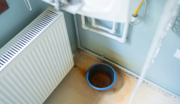 Best Mold removal after water damage  in Merrill, WI