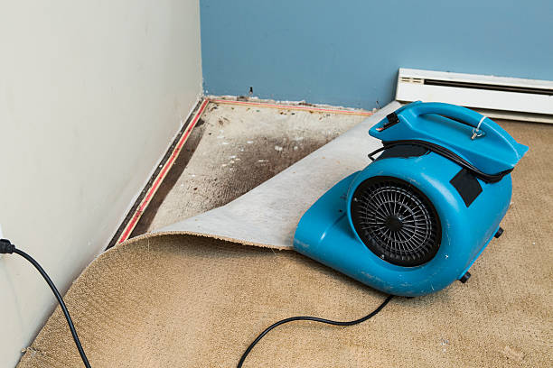 Trusted WI Water damage restoration Experts